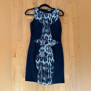 Rebecca minkoff leopard dress